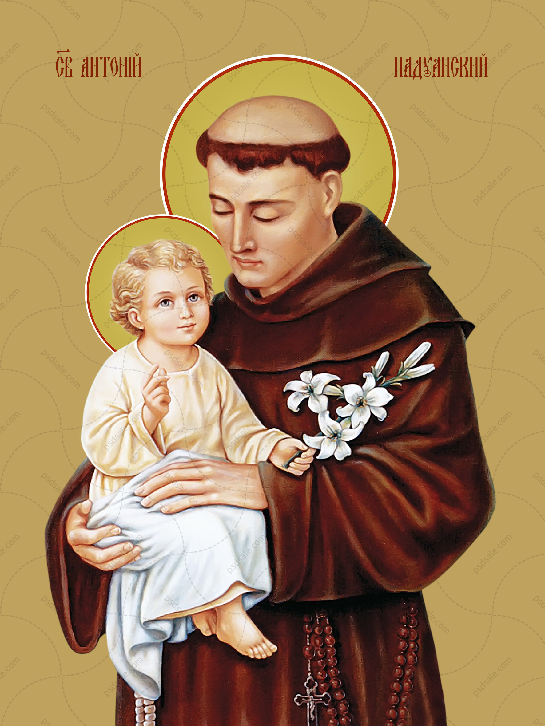 Buy the image of icon: Anthony of Padua, saint
